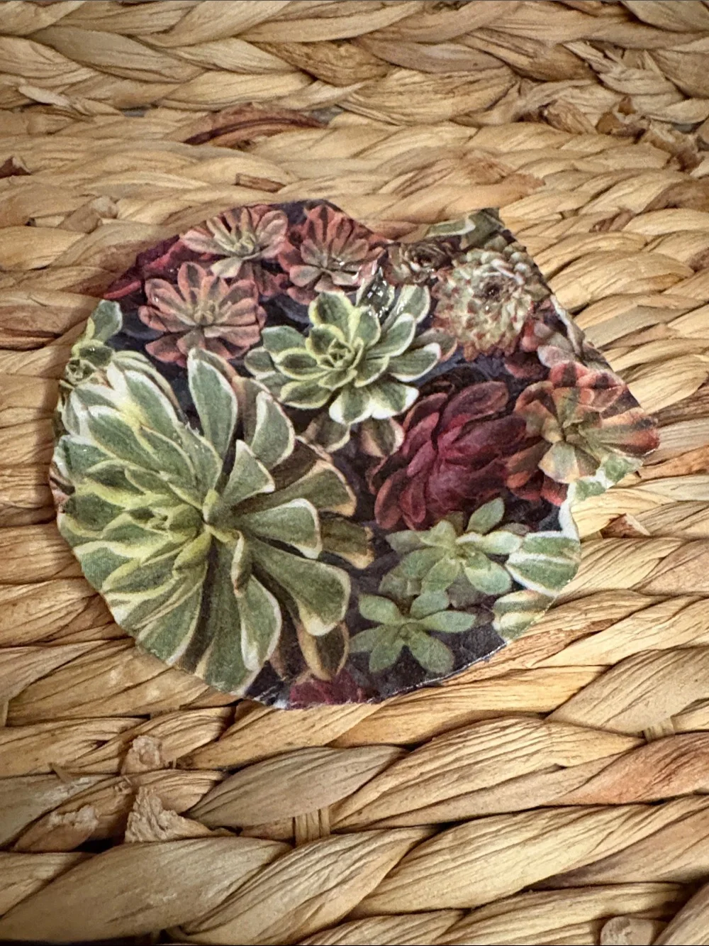 Hand Crafted Succulent Shell in Green and Burgundy
